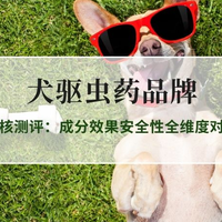2026犬驱虫药十大品牌排行榜 硬核测评：成分效果安全性全维