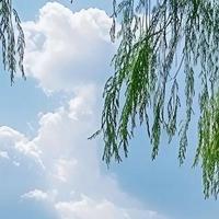 水解奶粉排行榜前十名：过敏体质宝宝的喂养答案都在这里