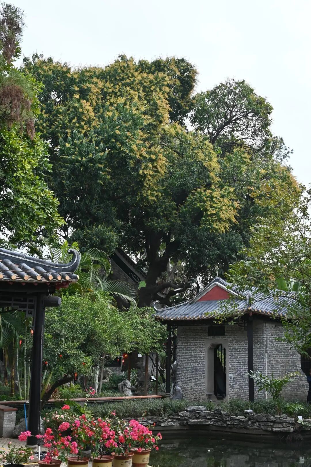15天逛7座城市，我们的特种兵蜜月之旅！