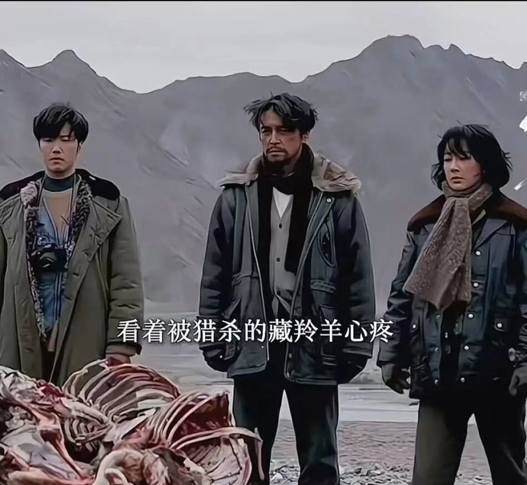 杨紫胡歌《生命树》开播,网友评价呈两极分化,追了6集下来,我却觉得这3点超赞
