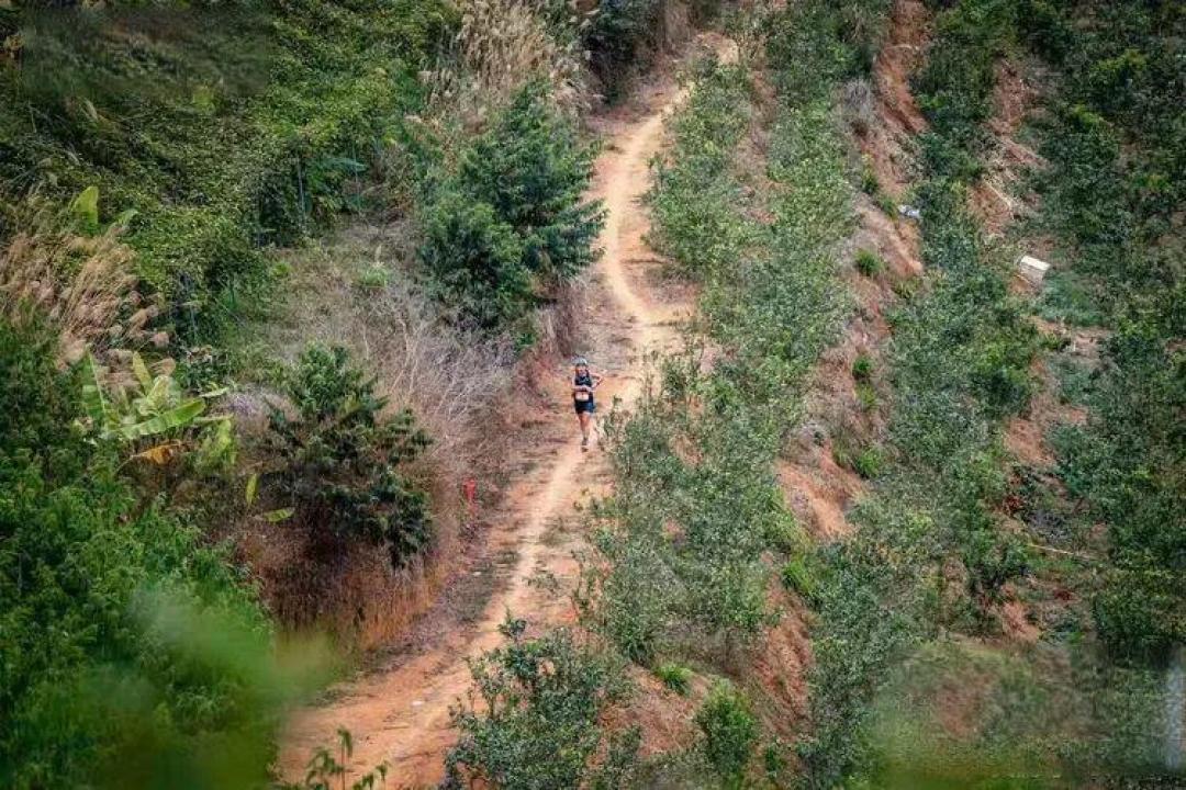 郁南磨刀山越野赛记
