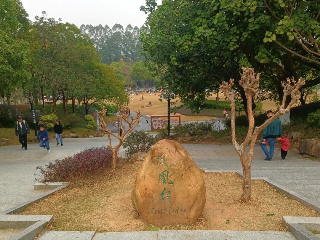 揭秘广州这座“宝藏入门山”:对新手、亲子友好,山顶看全景,山脚可露营,真的太惬意啦!