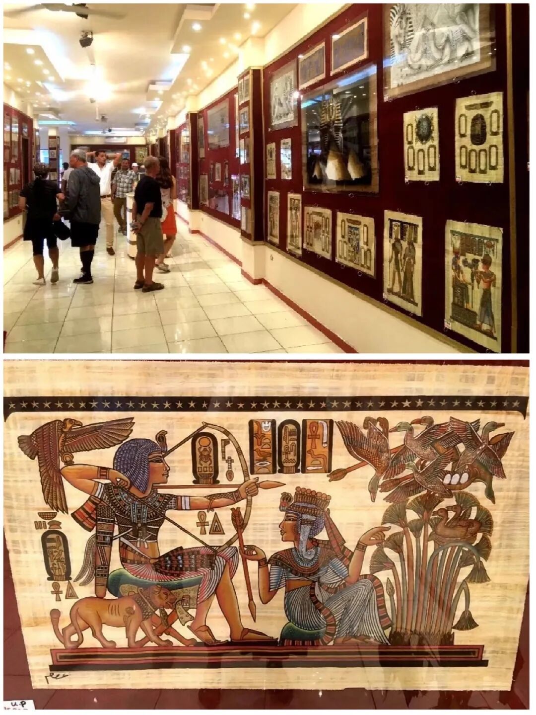 【小草园地】第1645期‖柳素琴(上海):游记《走进埃及》连载八九