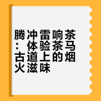 寻味云南第三站|腾冲—探秘马帮雷响茶