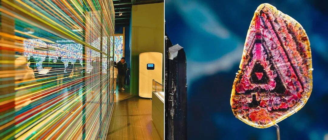 寒假去看展！上海2-3月免费展合集来了！