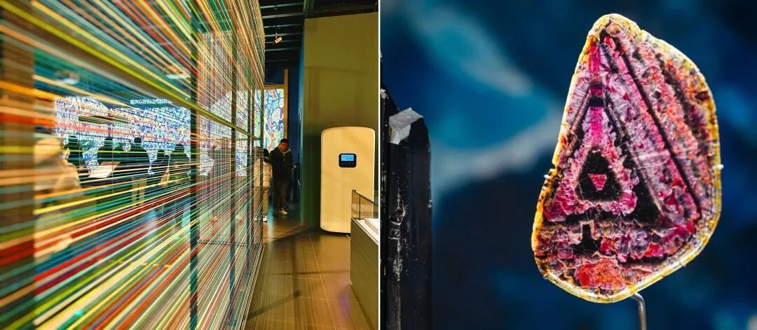 寒假去看展！上海2-3月免费展合集来了！