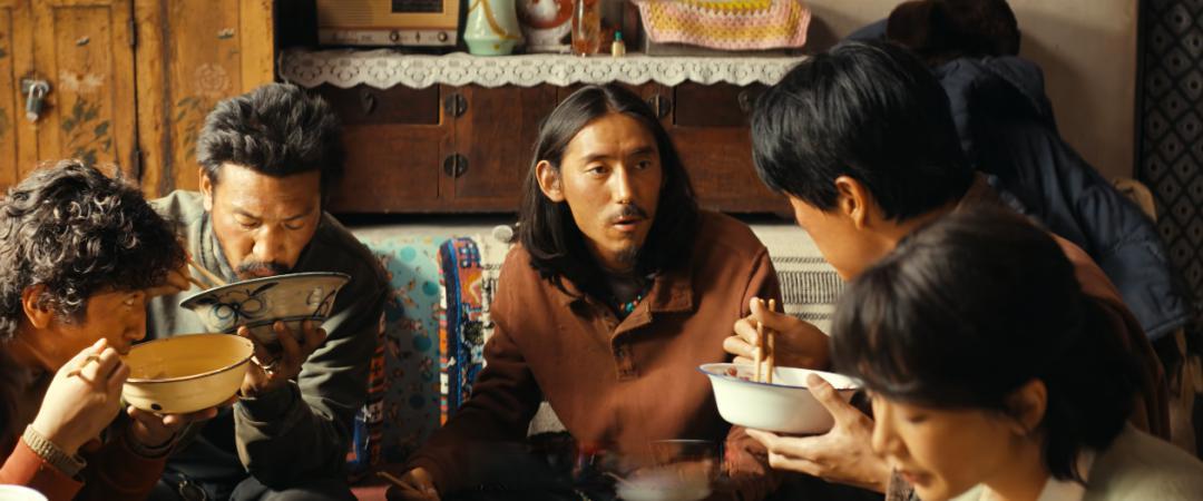 正午阳光自砸招牌,《生命树》从杨紫第一场戏,就开始糊弄观众