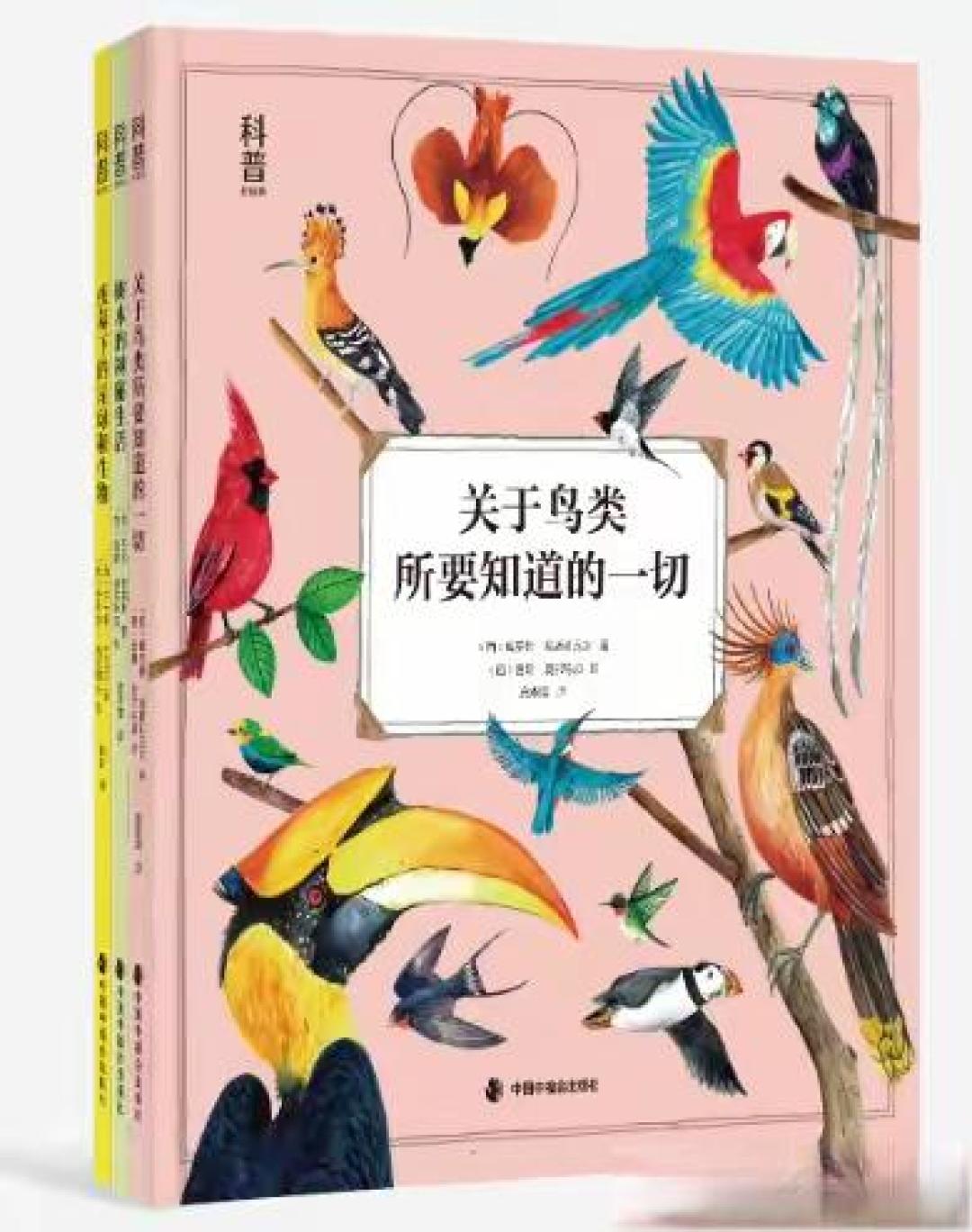 科创筑梦——小学科学寒假好书推荐（六年级篇）