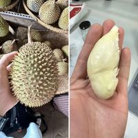 两极分化最为严重的水果——“榴梿”