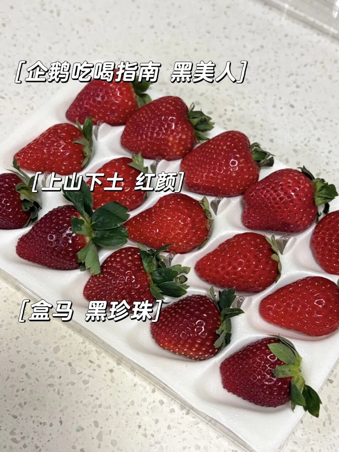 今年吃到的草莓仙品们(可网购 无广)