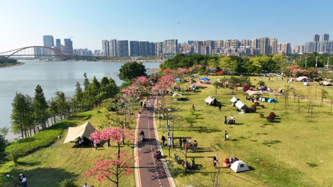 逃离人从众!顺德北部创新湾小众露营地图,邂逅新春第一缕阳光