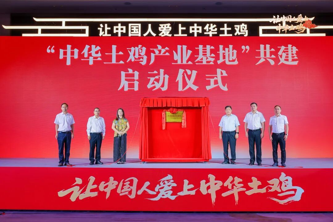 特色农业赋能“百千万工程”，“中华土鸡产业基地”共建启动仪式成功举办！