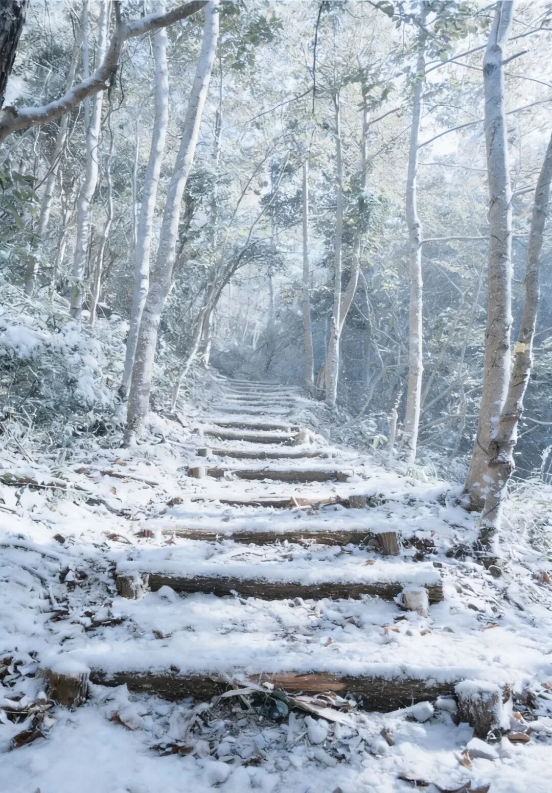 【雾凇】2月7日,送守护三件套!新昌天姥山冰雪版,登青云梯,上金银台,见金鸡台,打卡李白梦中情山!