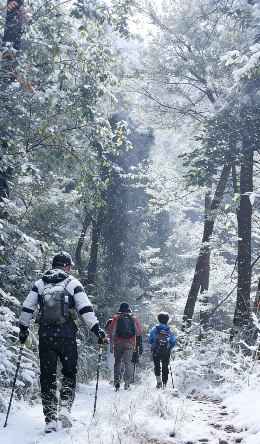 【雾凇】2月7日,送守护三件套!新昌天姥山冰雪版,登青云梯,上金银台,见金鸡台,打卡李白梦中情山!