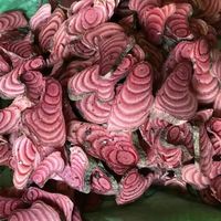 颈椎病，肩周炎，五十肩，这个药要知道