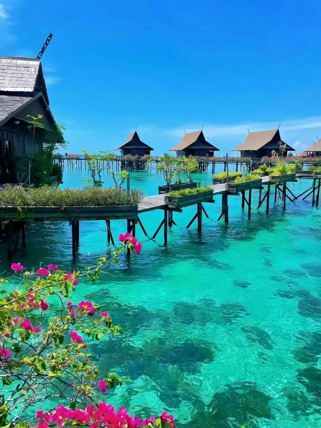 去亚庇还是仙本那旅游?一篇讲清楚!