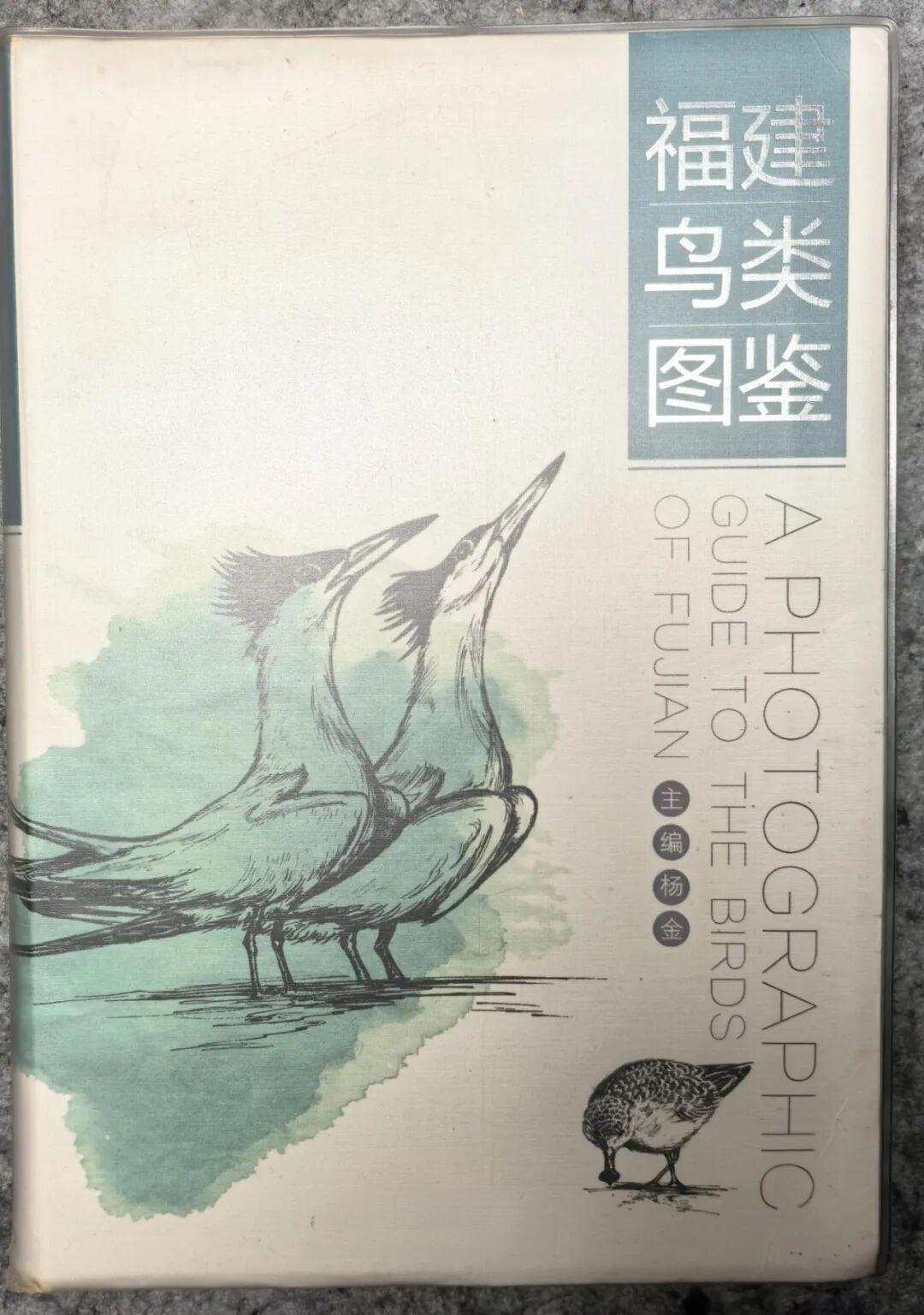 1%地球税|从养鸟到观鸟到鸟类保育,一群“老鸟”的二十年