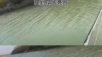 路亚邪修钓组“亮片瓜子”3 #路亚 #路亚野钓