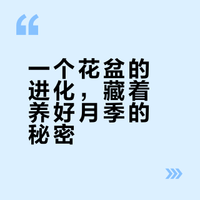细节爆表！花盆背后的重重进化史#天狼说月季# #植物# #养花# 天狼月季的微博视频