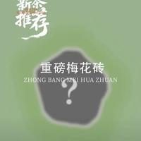 品鉴一款独特的拼配梅花重磅紧压砖，你猜到是哪款了吗？#白茶 #银龙重磅紧压砖 #银龙白茶 #福鼎白茶