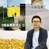 回乡路上，带这本《低头思故乡》就够了 读完满是温暖，这本200页的小书，藏着最动人的故乡情，治愈游子的乡愁#回乡 #春节 #乡愁 @小林见书 @四川人民出版社
