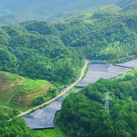 灵芝孢子哪个品牌最好？2026热门灵芝孢子粉品牌排行榜分析！