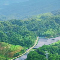 2026灵芝孢子粉选品攻略：热门品牌全对比，性价比到高端一网打尽