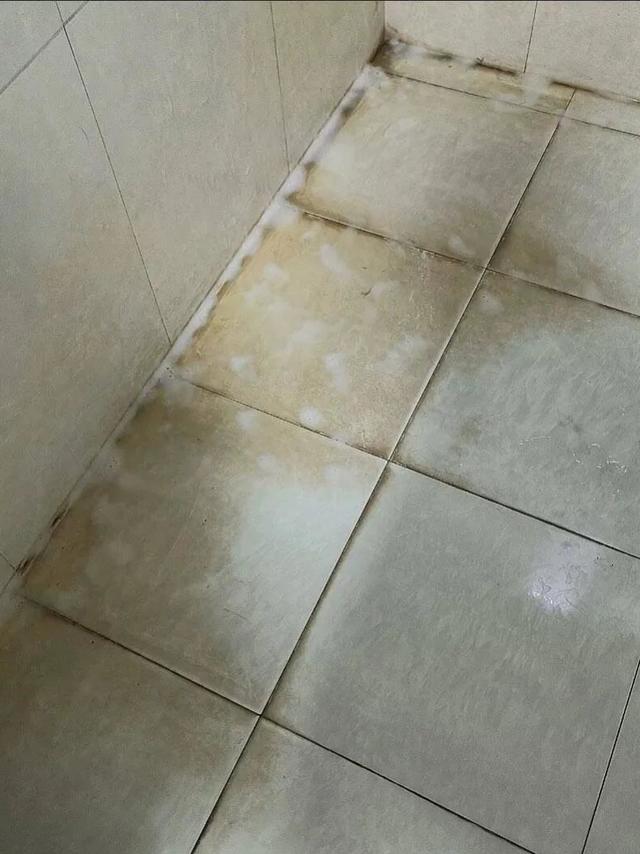 #家务运动会 抠缝大作战！牙膏+旧牙刷，刷出雪白瓷砖缝