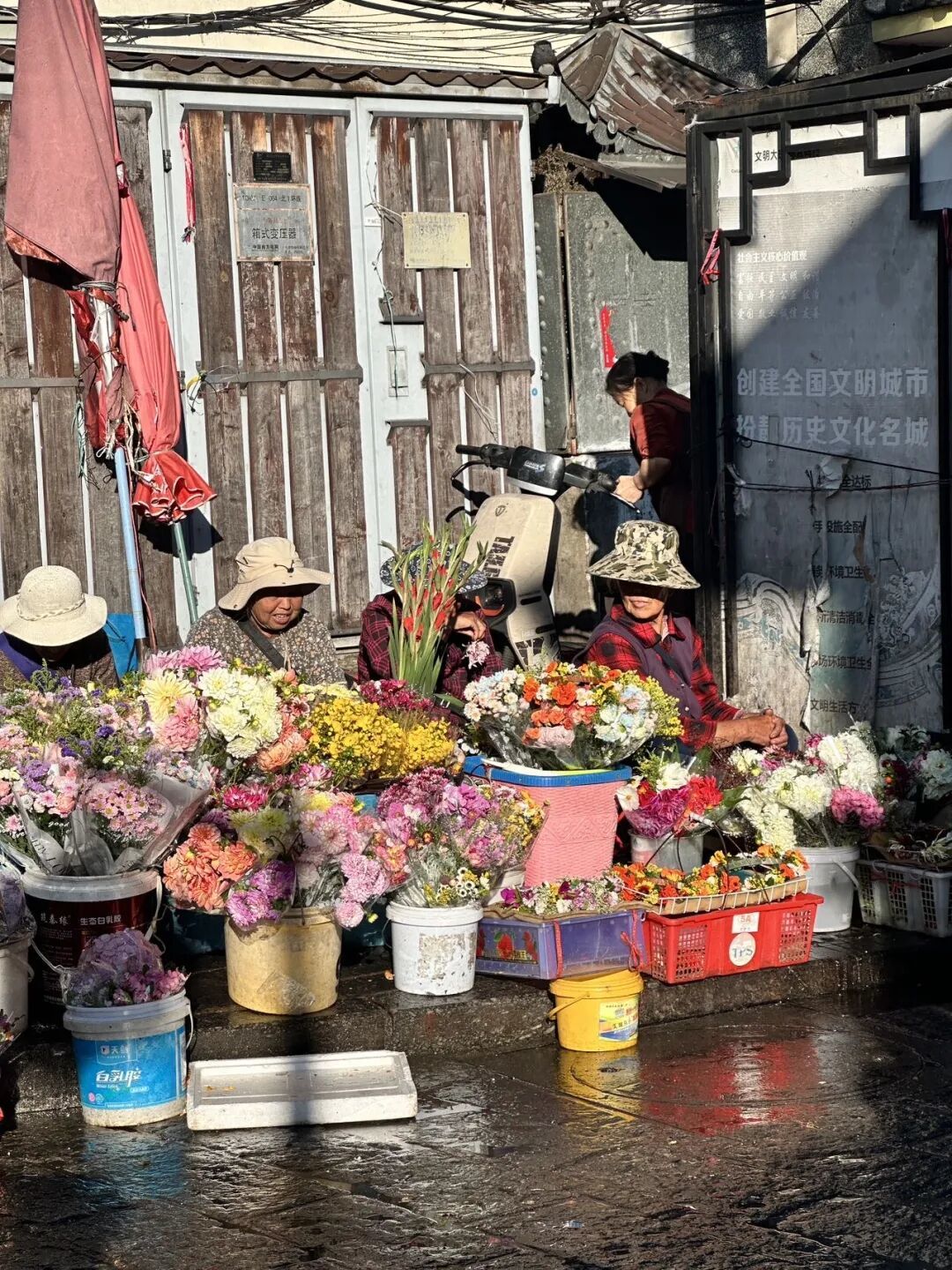 大理旅居日常:把梦想交给创业,把生活交给菜市场。