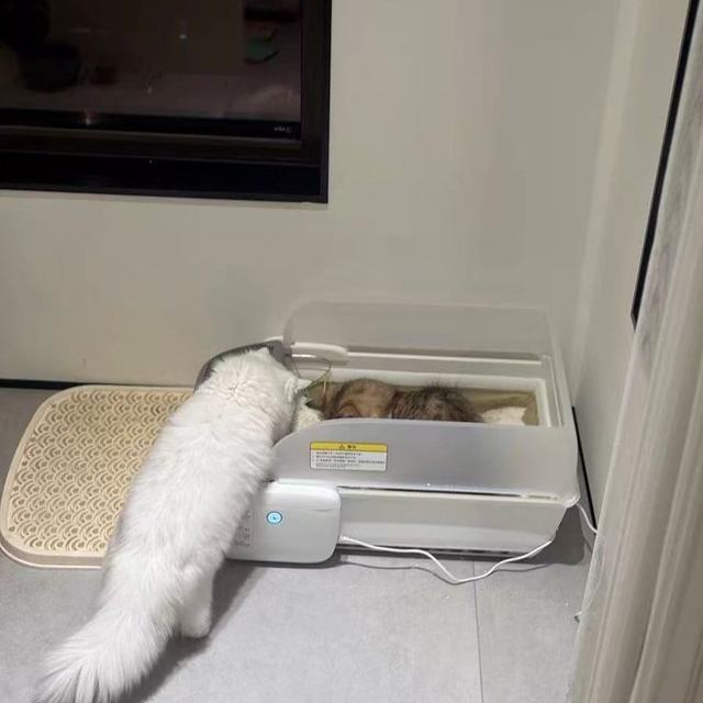 魔铲开放式全自动猫砂盆｜铲屎官彻底解放双手✅