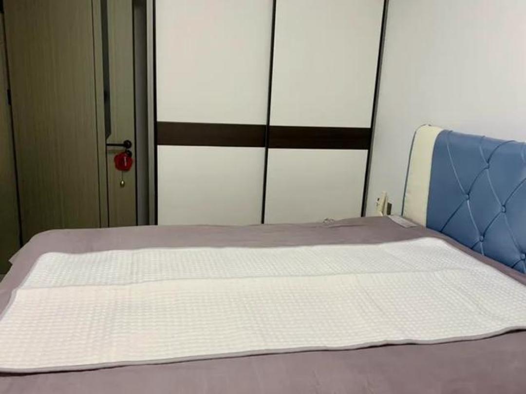 冬日取暖刚需,这款智能电热毯真的戳中我了