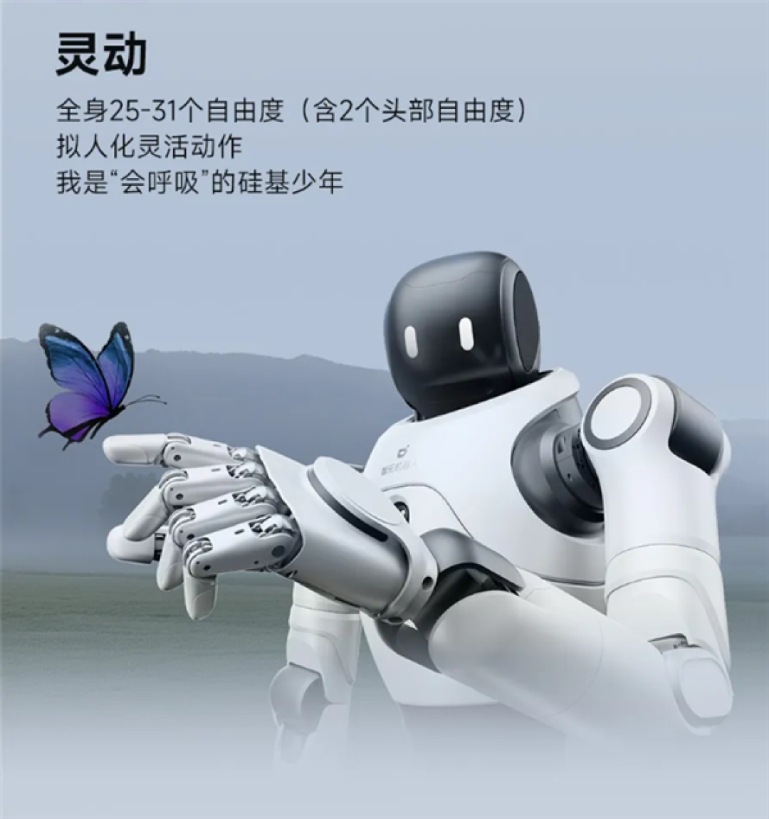 少林寺迎来一批机器人新弟子:出拳踢腿动作行云流水