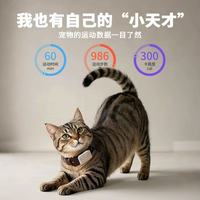 宠悦悦宠物定位器｜养宠人终于告别丢宠焦虑✅