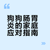 狗狗肠胃炎自救成功！三天从吐到摇尾巴