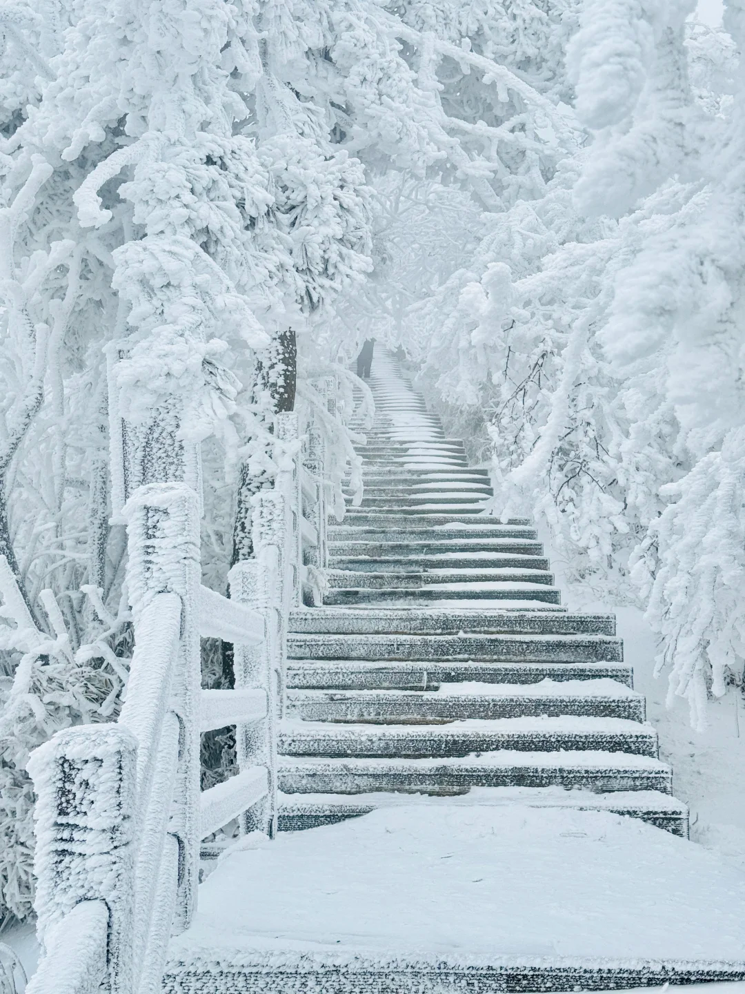 全部免费!成都2h刹拢,闯入“北国风光”童话冰雪秘境!实现雪景自由~