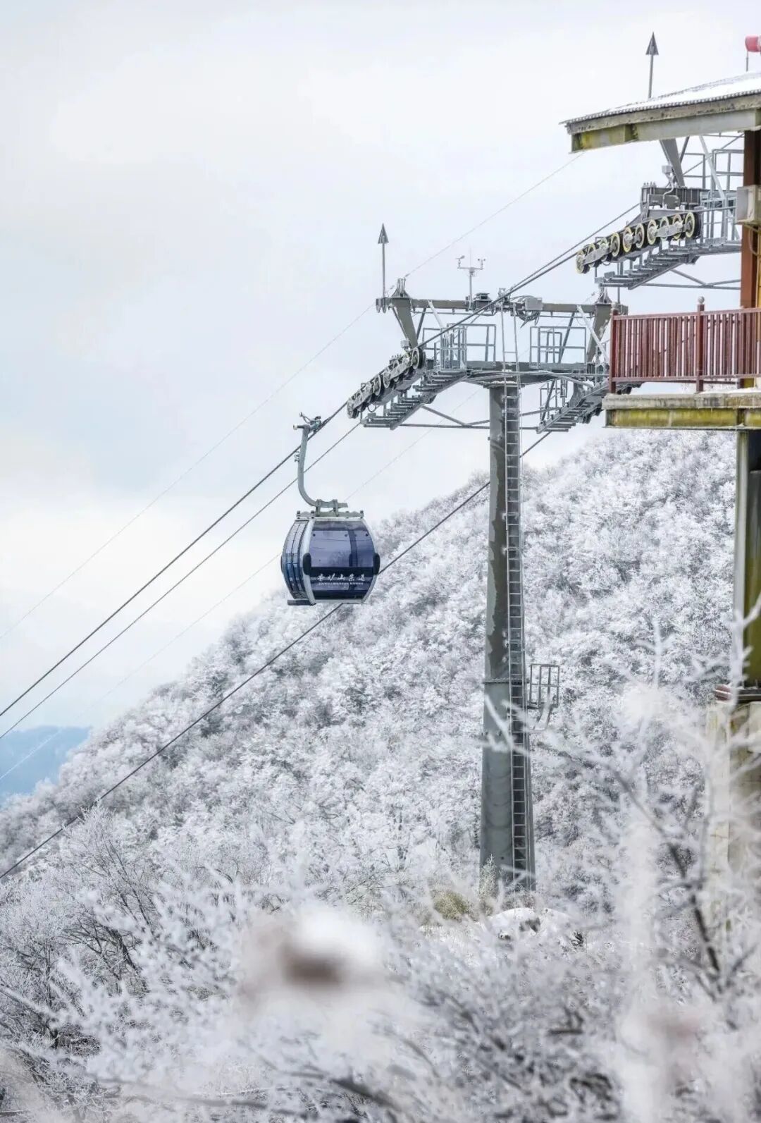 全部免费!成都2h刹拢,闯入“北国风光”童话冰雪秘境!实现雪景自由~
