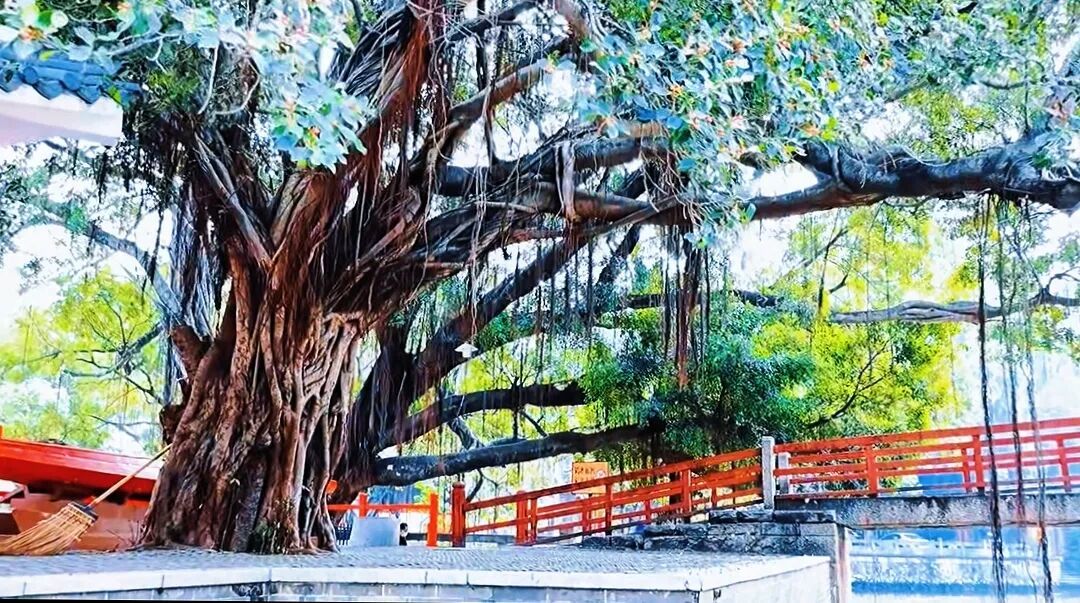 探访广州旧村落|龙潭,一座超八百年历史的文化古村,“天子”赐福之地!看岁月境迁,看满眼浮华!地铁直达,就在海珠区!