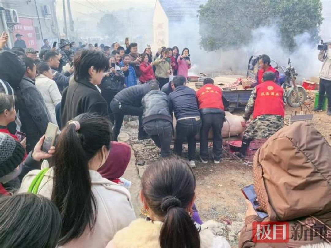 咸安这场“刨猪宴”：网友一声喊，咸安举城“托”