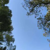 新手编辑如何找选题？