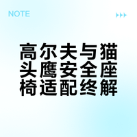 小车高尔夫与猫头鹰安全座椅挑战