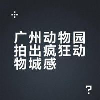 广州动物园版疯狂动物城！