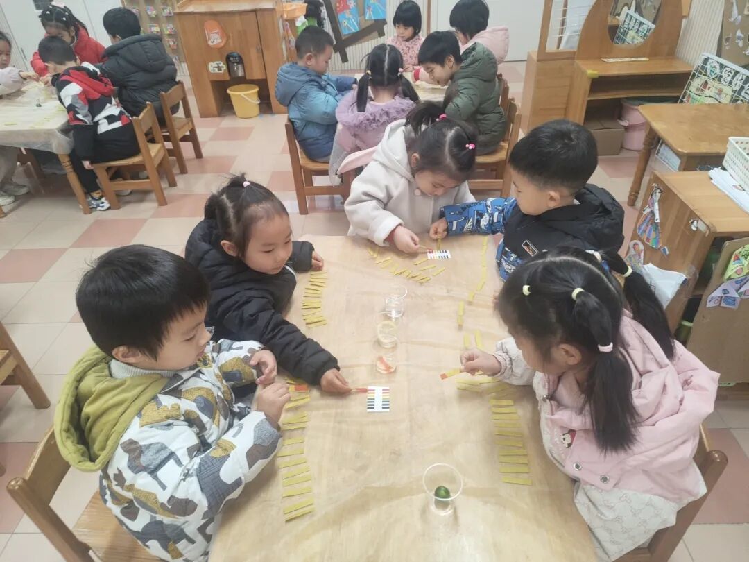 认识生活中的酸和碱 ——颛桥镇幼儿园家长进课堂活动