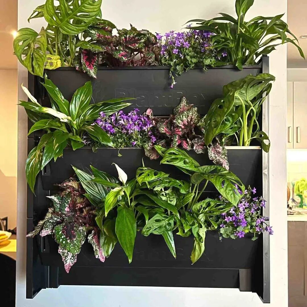 如何用植物墙打造品牌形象