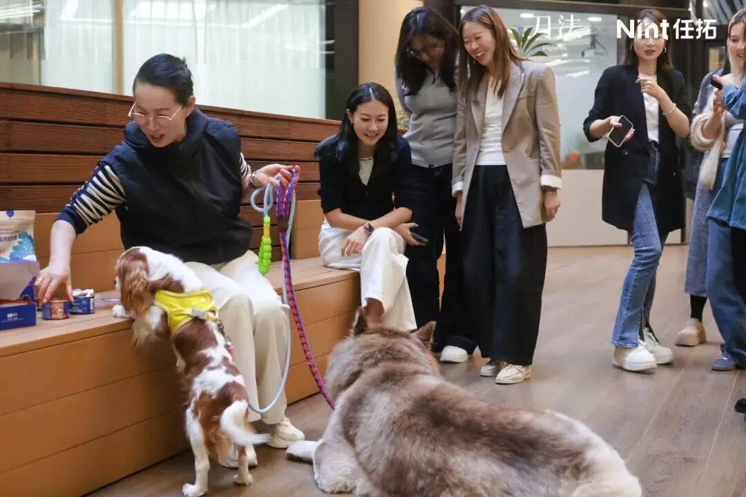 “主子”开心、钱包甘心,千亿宠物经济如何从高速增长转向精细化运营? | 刀法x任拓宠物闭门会
