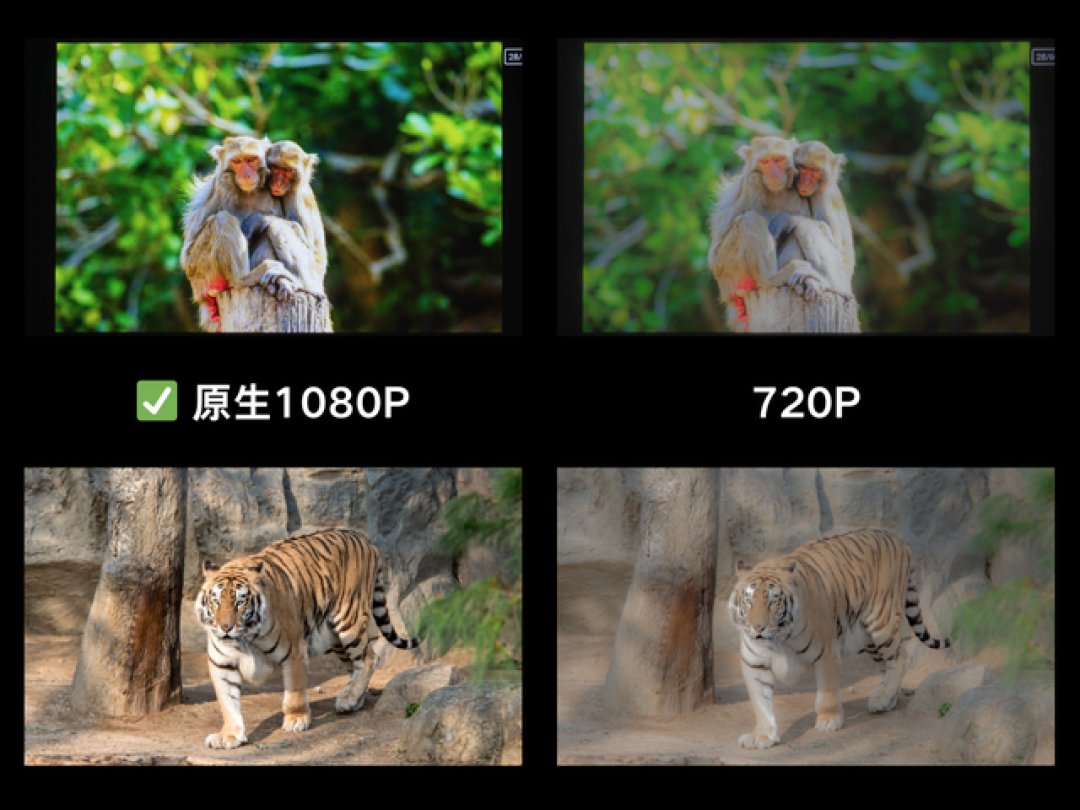 2025百元投影仪横测:大眼橙C3Air和哈趣Q1Pro谁才是性价比的神?