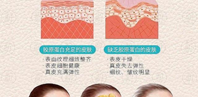 2026抗皱好的护肤品实测,解析抗皱紧致护肤品哪款好_乳液面霜_什么值得买