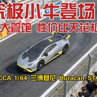 在赛道上疯狂奔跑的小牛—兰博基尼 Huracan       STO