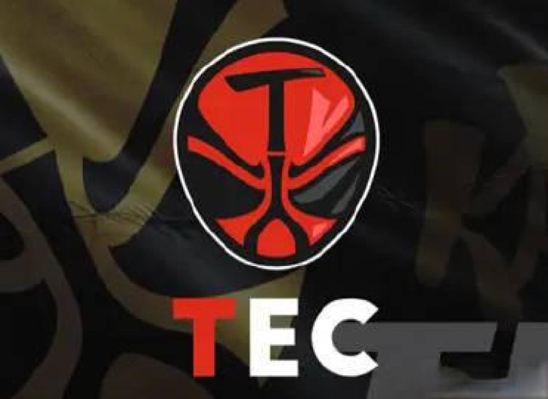 从豪门争霸到文化破圈,一文看懂PEL的顶级电竞生态