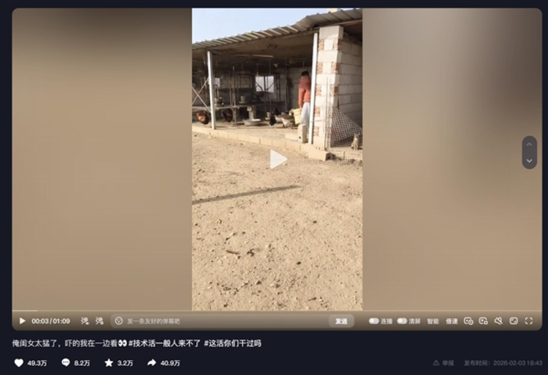 女孩喂大鹅遭袭击:当场霸气还击