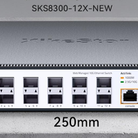 兮克SKS8300-12X交换机：12口全万兆，定义高性能网络新基准